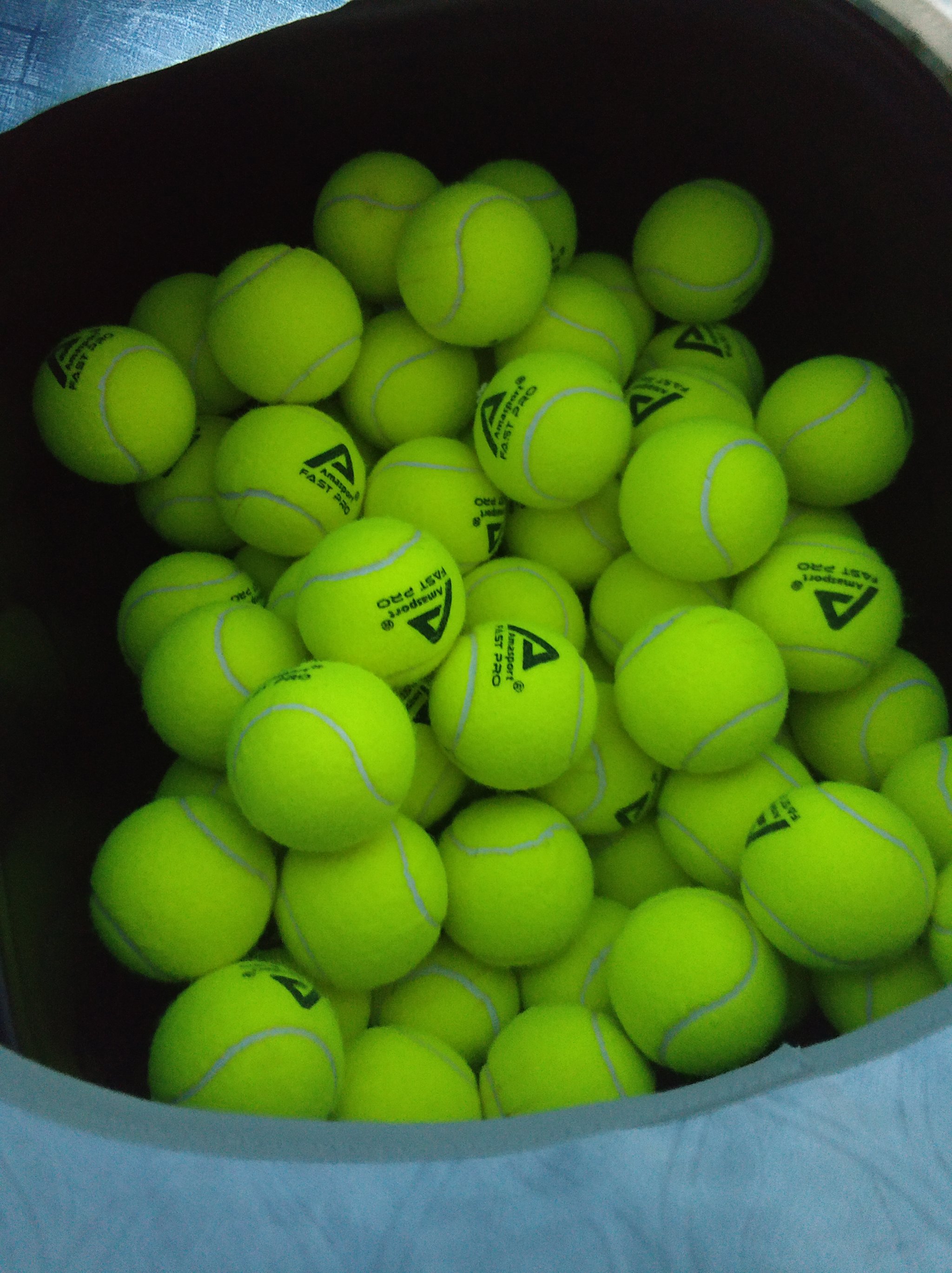 引援上趋于 引援上趋于