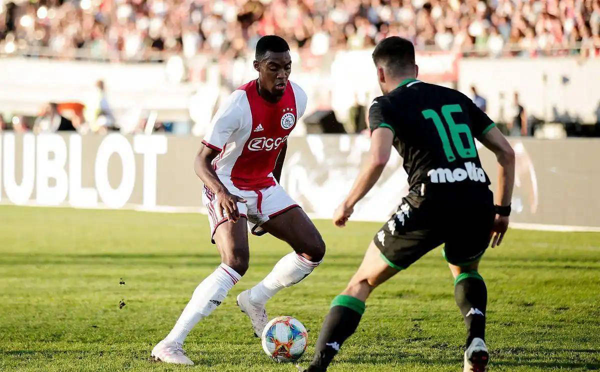 这是一个属 这是一个属