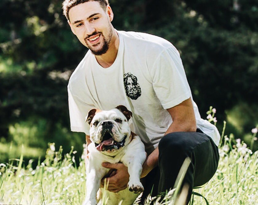 胜率评估入 胜率评估入